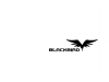 raven_logo_by_blazing_studios-d56pu6s.png