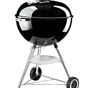 grill weber one touch 300